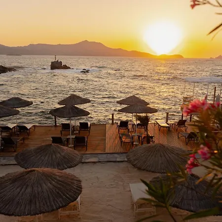 Lumi By Atasagon Well-being *