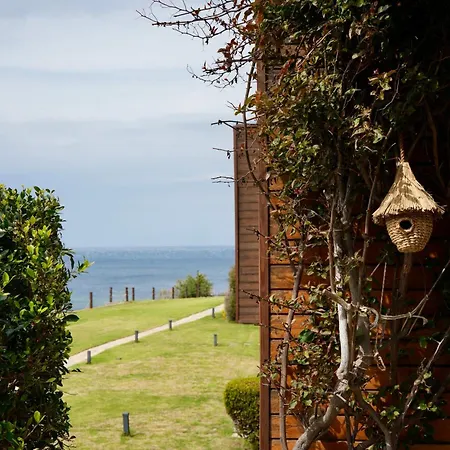 Lumi By Atasagon Well-being 캠프장 Bodrum