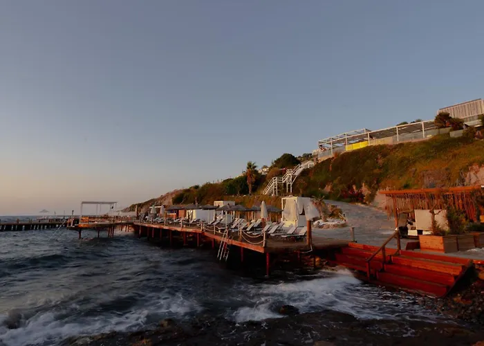 Lumi By Atasagon Well-being Camping